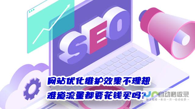 保障网站稳定运行，避免宕机和数据丢失，确保业务持续发展。