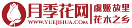 月季花网-月季知识分享网站-树状藤本大花-月季苗批发基地